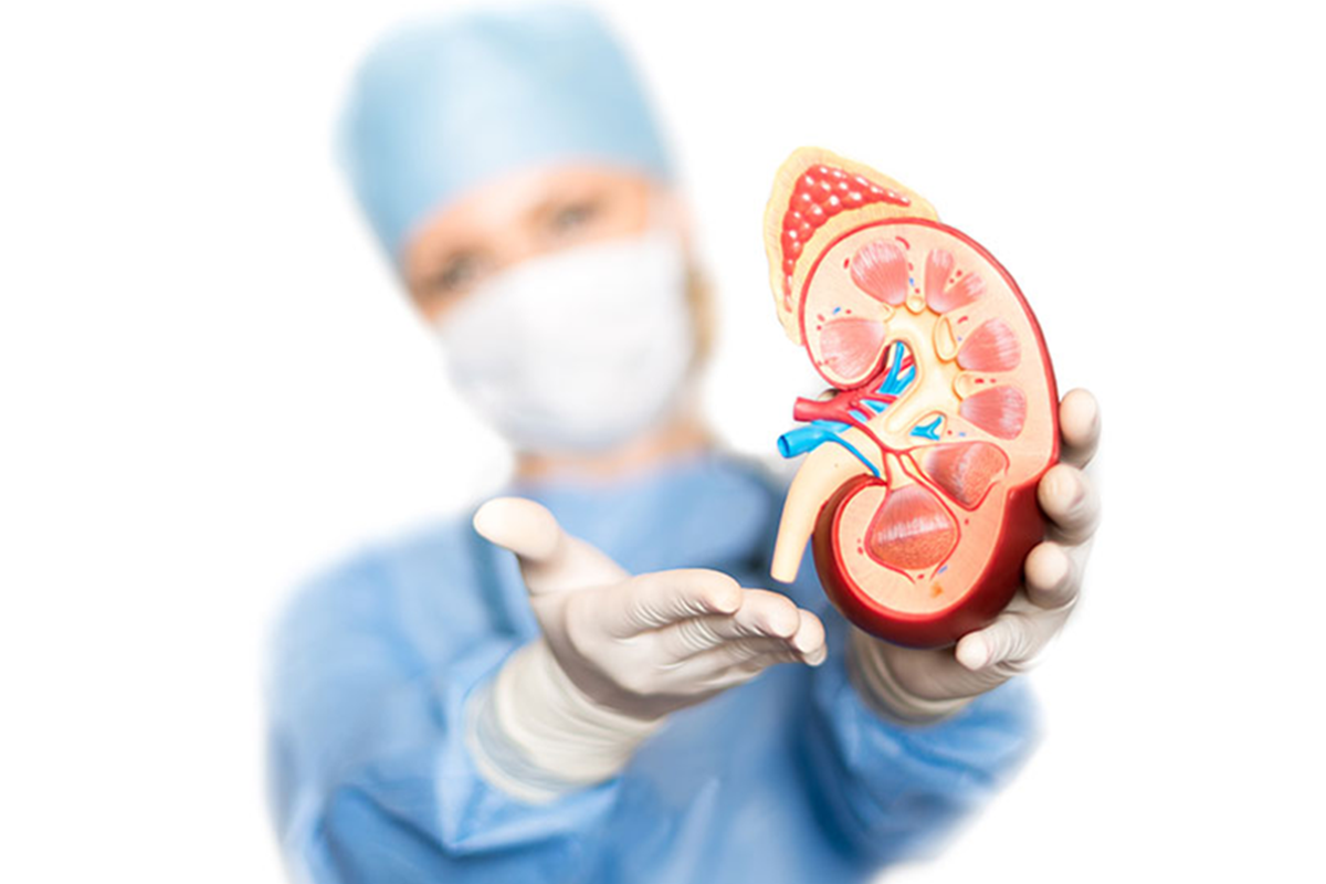 Kidney Transplant Care